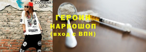 индика Снежногорск