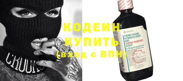 индика Снежногорск