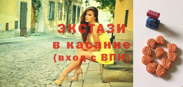 индика Снежногорск