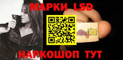 прущие грибы Новозыбков