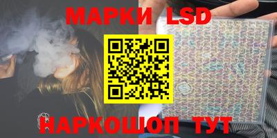 прущие грибы Новозыбков
