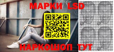 прущие грибы Новозыбков