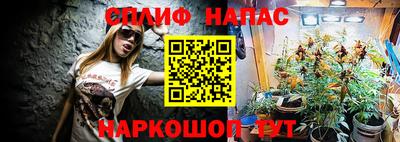 гашиш Новокубанск