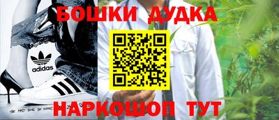 индика Обь
