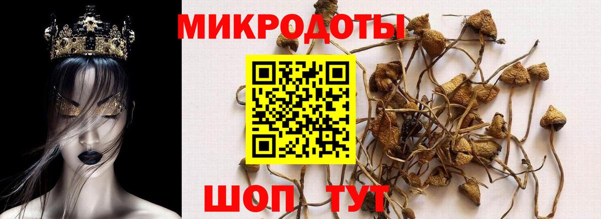 Рузаевка  Псилоцибиновые грибы прущие грибы  Вход с VPN 